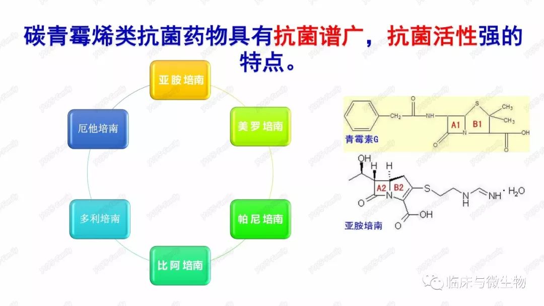 cre耐药机制概况