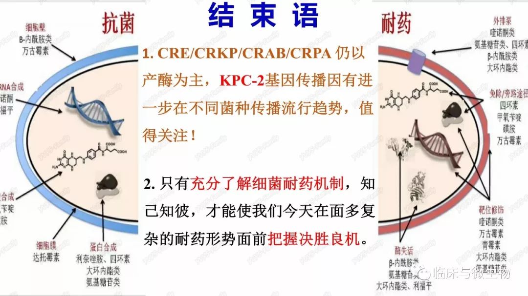 cre耐药机制概况